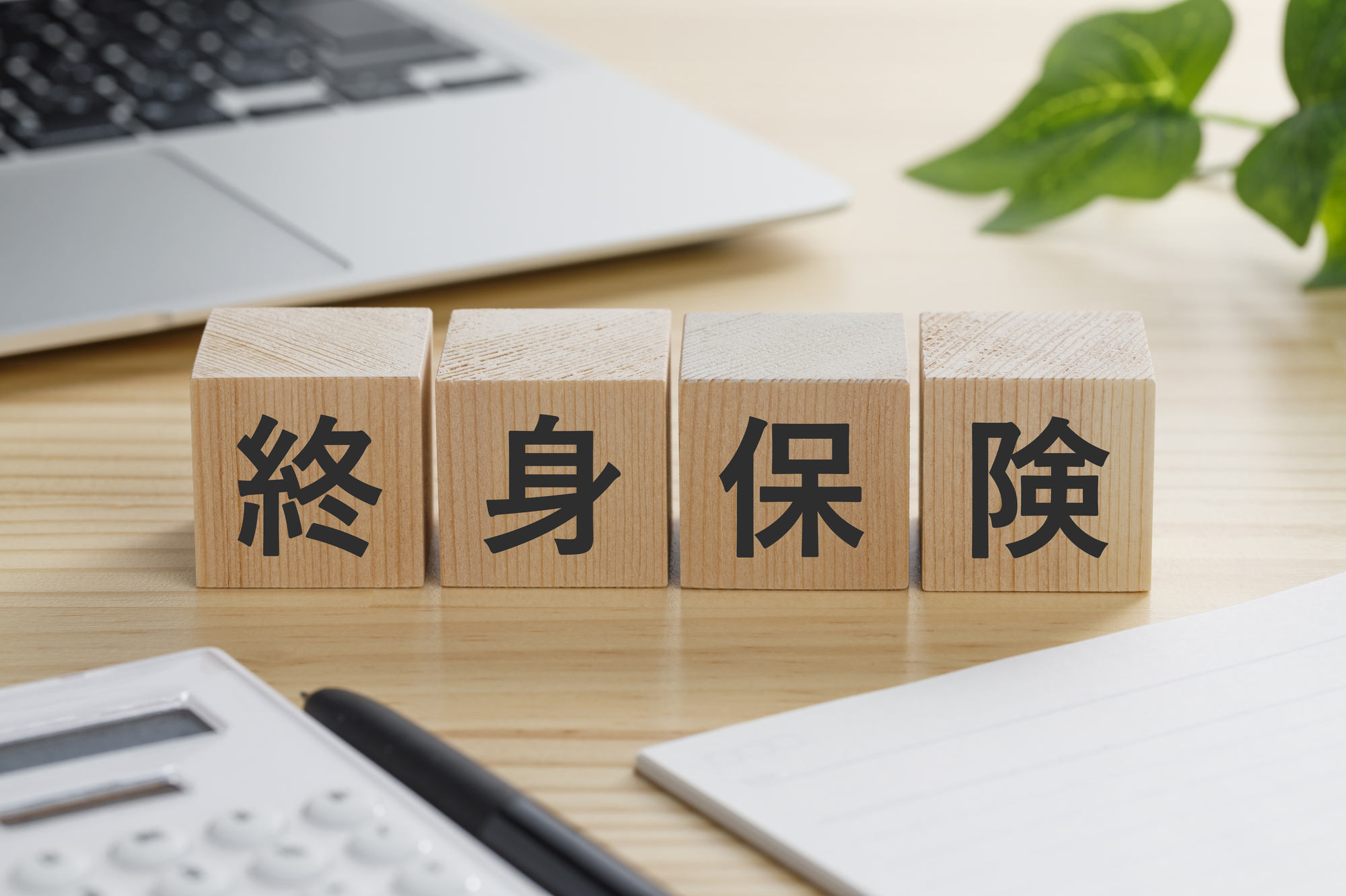 終身保険とは？死亡保険と何が違う？